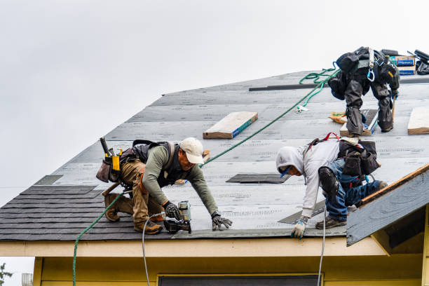 Professional Storm Damage Roof Repair technician working in Marion Center, MA